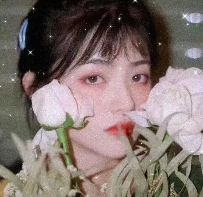 蔡李佛